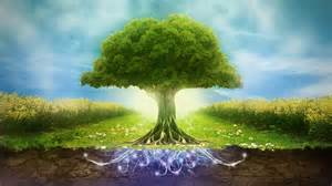 Environment
